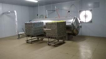 食品廠轉型良機 咸蛋廠整線設備打包轉讓，含鍋爐、殺菌鍋、洗蛋機等